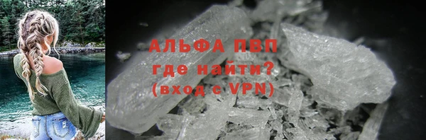 PSILOCYBIN Беломорск