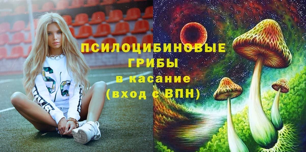 синтетический гашиш Богданович
